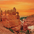 Aglow in Bryce Canyon.